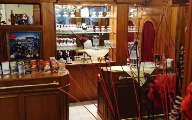 Hotel Domizil - photo 2