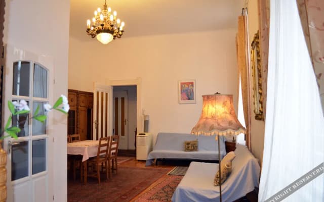 Veres Palne Central Apartments - photo 5
