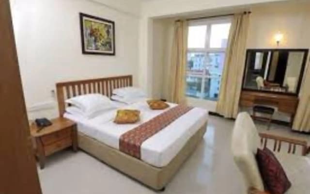 Baani Hotel - photo 3