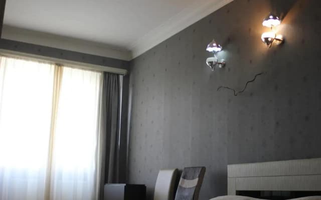 Guest House Ani - photo 2