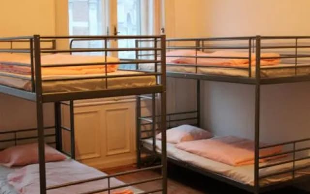 Black Dog Hostel - photo 5