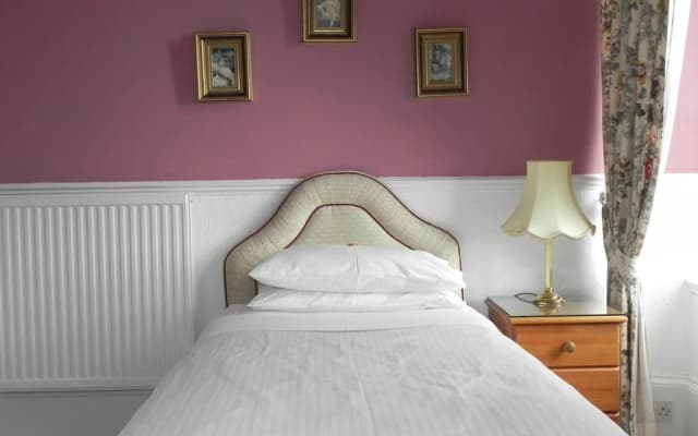 Ashlyn Guest House - photo 5