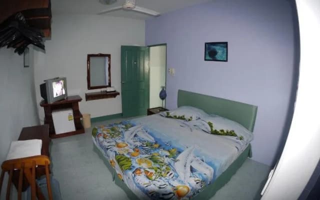 Dive Den Guesthouse - photo 4