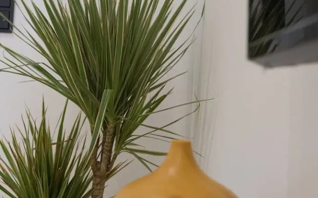 Mocha Acropolis View Apartment - photo 5