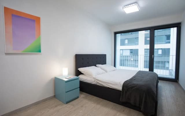 Prague Comfort Apartment - photo 4