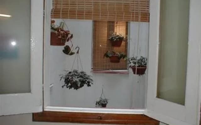 Arkupe Apartments - photo 5