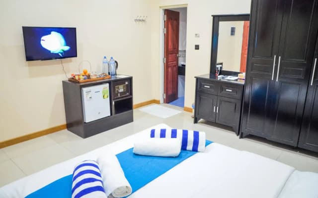 Whale Shark Inn Maldives - photo 3