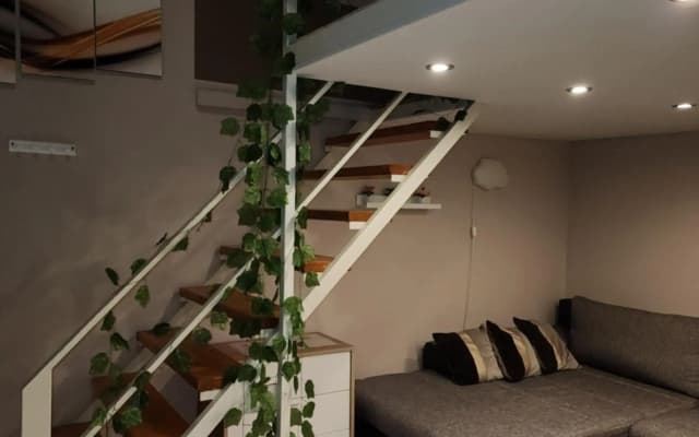Comfortable and Homey apartment in downtown - photo 5
