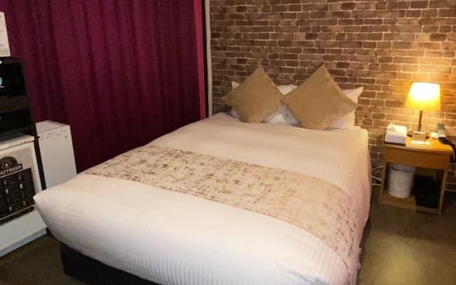 Roppongi Plaza Hotel - photo 3