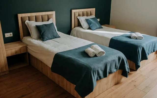 Basa Boutique Hotel - photo 2