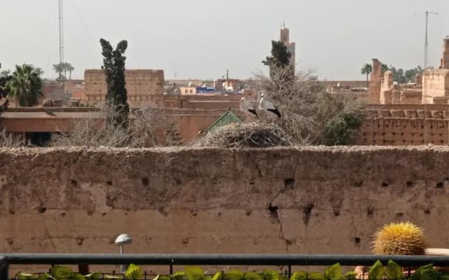 Stork Marrakech luxury Hostel - photo 3