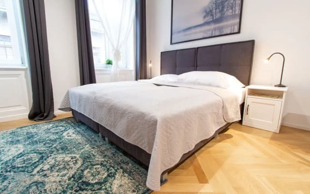 APARTMENT RüDIGERGASSE - photo 4