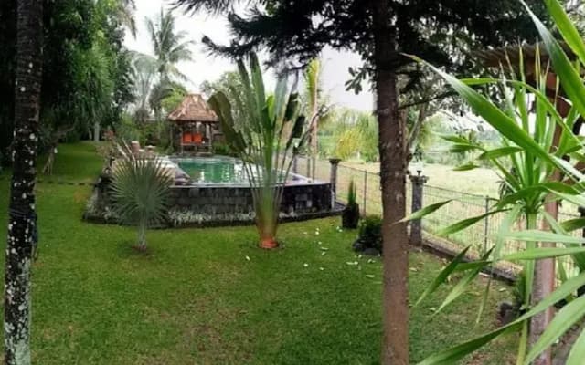 The Carik Ubud Villa - photo 5