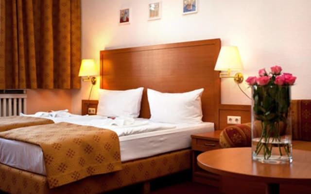 Hotel Aster - photo 4