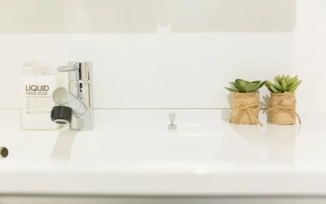 Seta piena301 - photo 2