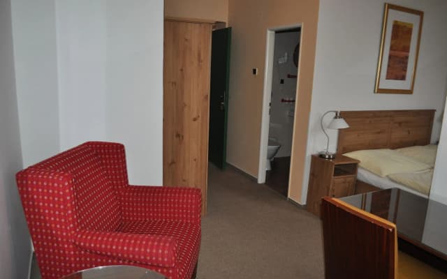 Hotel Svornost - photo 4