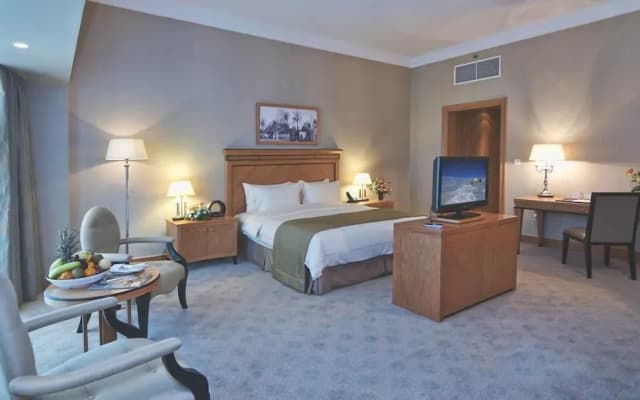 Wiseman Grand Hotel - photo 5