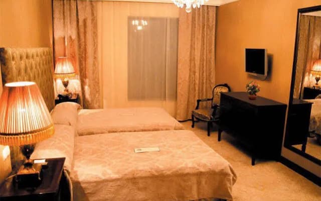 Hotel Vere Palace - photo 4