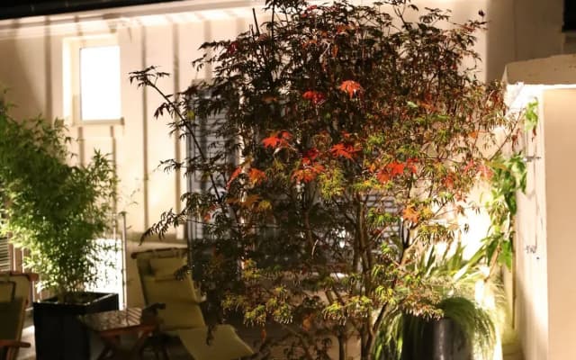 Le Clos De lolivier - photo 2