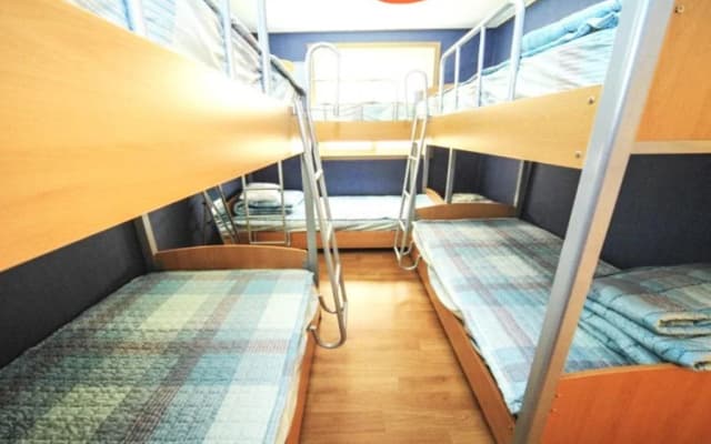 Homini Guesthouse - Hostel - photo 3