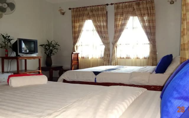 Comfort Guesthouse - photo 3