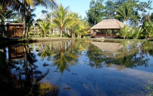 Prashanti Ubud - photo 5
