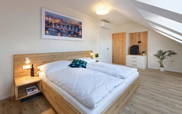 DownTown Suites Jugoslavska - photo 3
