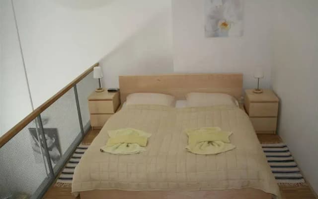 Apartment Balbínova - photo 5