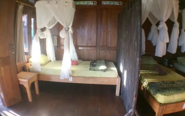 Green Paddy Hostel - photo 3