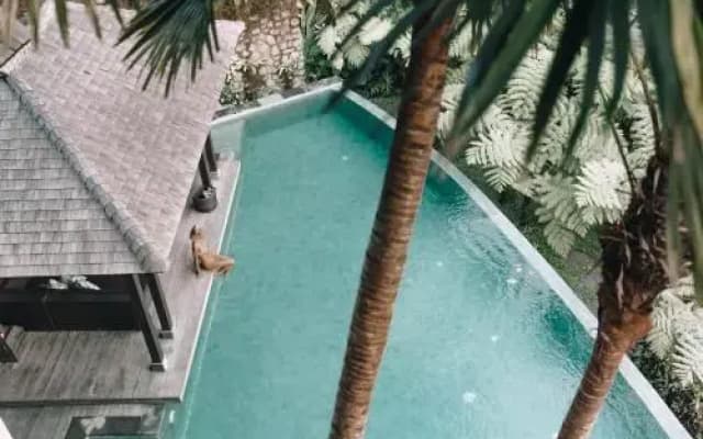 Villa Naga Putih - photo 5