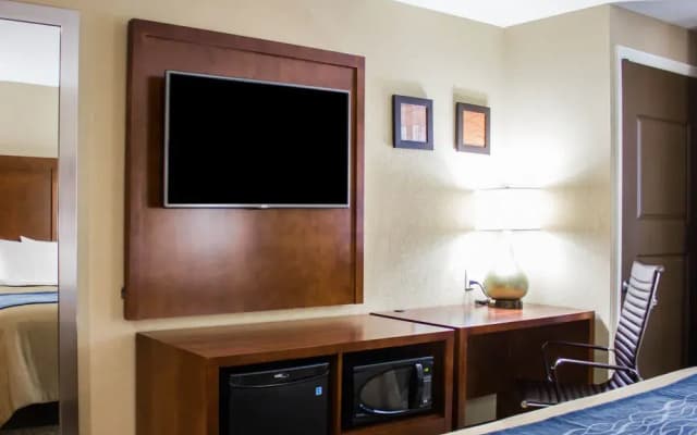 Comfort Inn Jamaica - photo 4