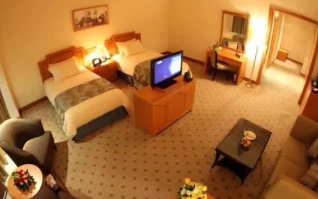 Wiseman Grand Hotel - photo 4
