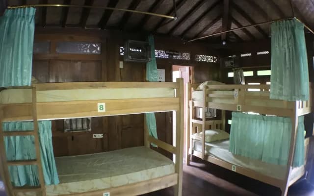 Green Paddy Hostel - photo 4