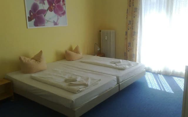 Hotel Pension Gribnitz - photo 2
