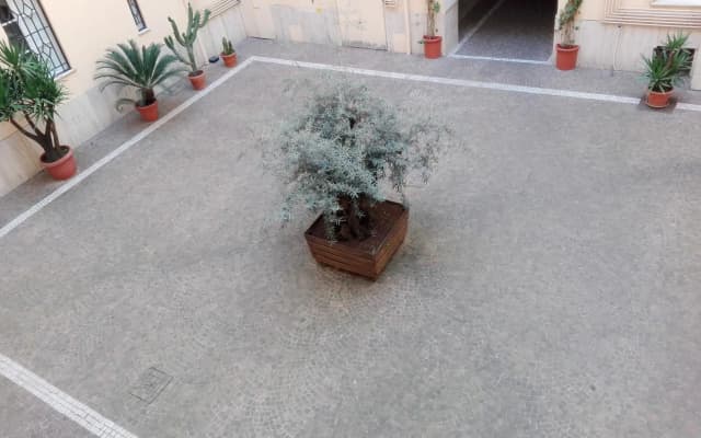 Laterano White Home - Colosseo - photo 4