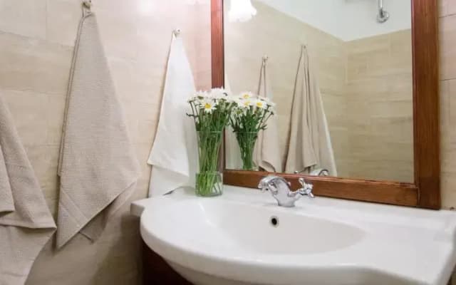 Dodo Home - photo 5