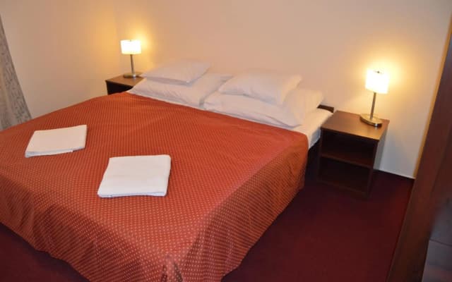 Hotel Aréna - photo 4