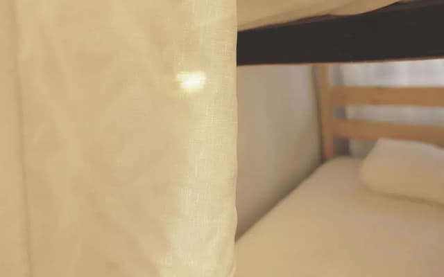 Fat Cat Hostel - photo 2