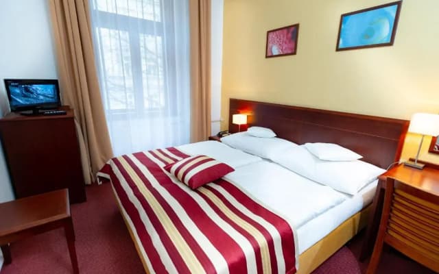 Hotel Petr - photo 5