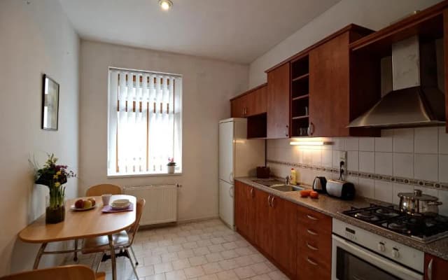 Apartments Karlin - photo 2