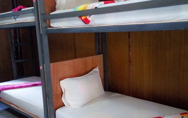 Funky Fish Hostel - photo 2