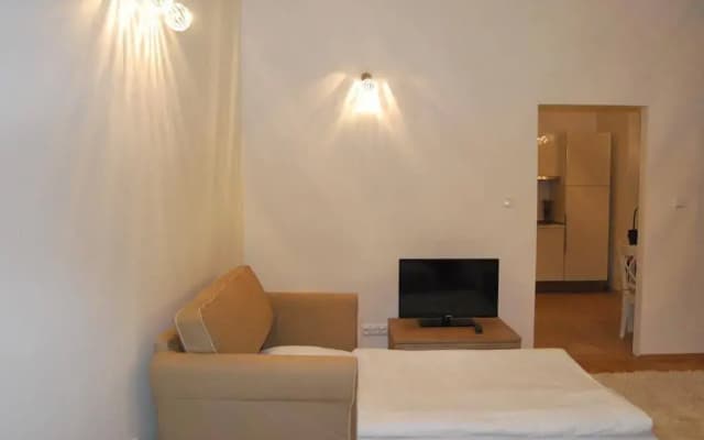 Apartment Hybernska - photo 4