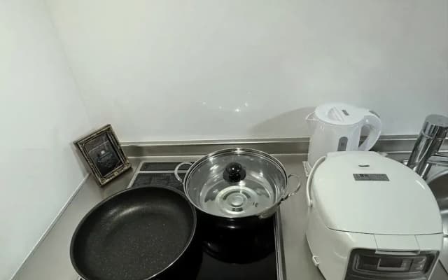 SOLASIA residence Kitaueno501 - photo 3