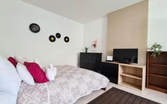 Premium Buda Castle Apartment - photo 4