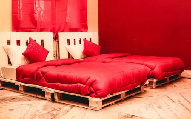 Capsule Den Farmstay - photo 5