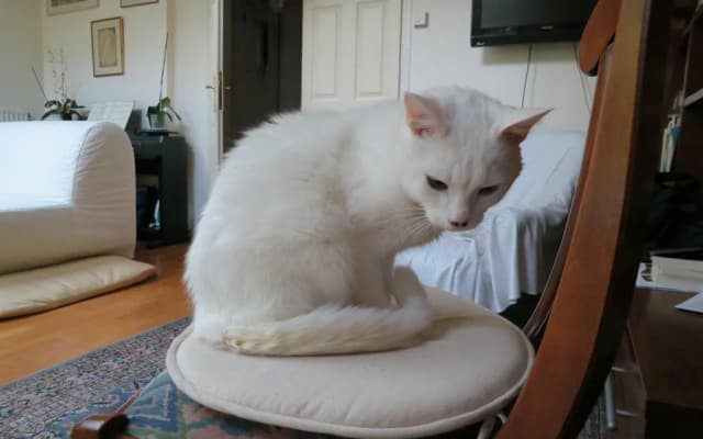 Bed and Breakfast Bolero - photo 3