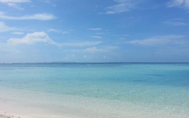 Dacha Maldives Guest House - photo 2