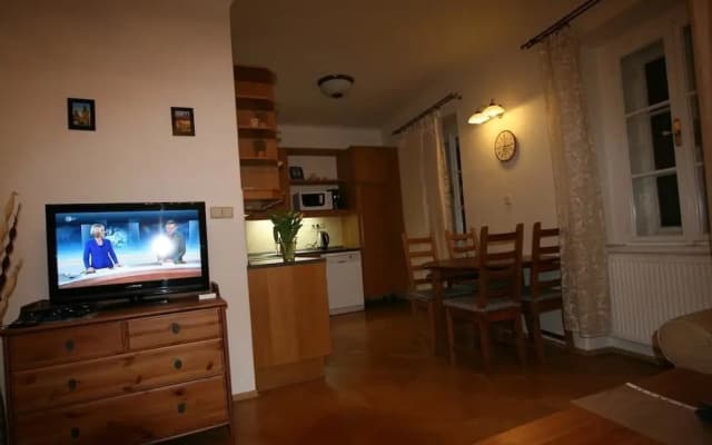 Apartment Stare Mesto Anenska - photo 4
