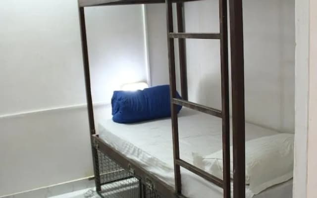 Traveller Paradise - photo 5
