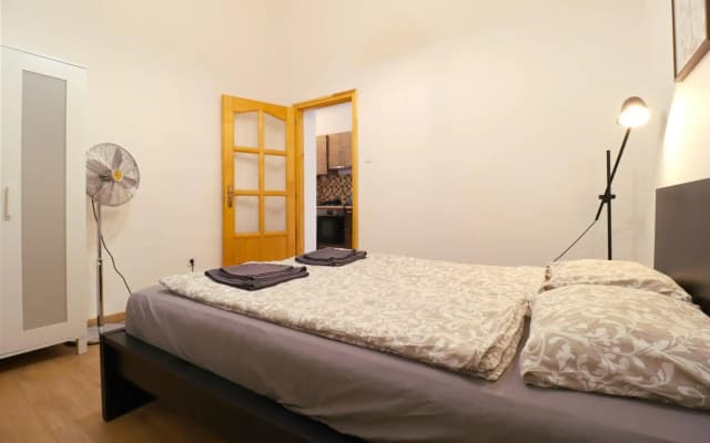 Apartment Budapest Akácfa - photo 3
